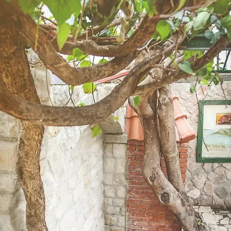 Apartment Romic Omis